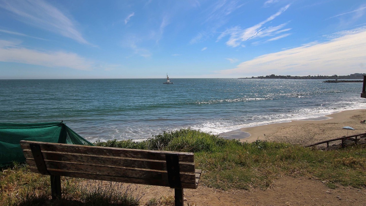 Photo of Others in Eastside Santa Cruz
