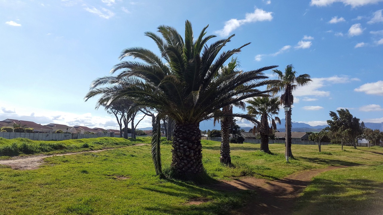 Photo of Outdoor in Gordon's Bay