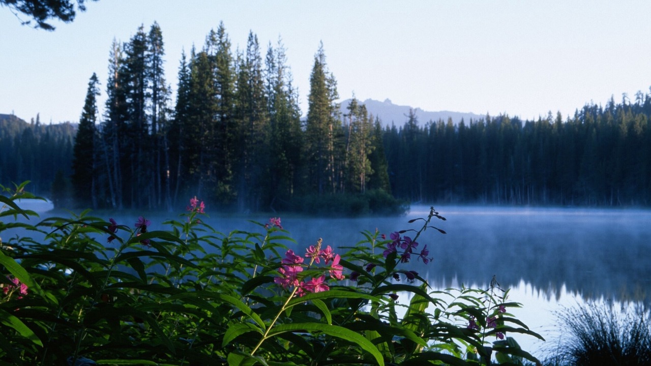 Photo of Others in Serene Lakes