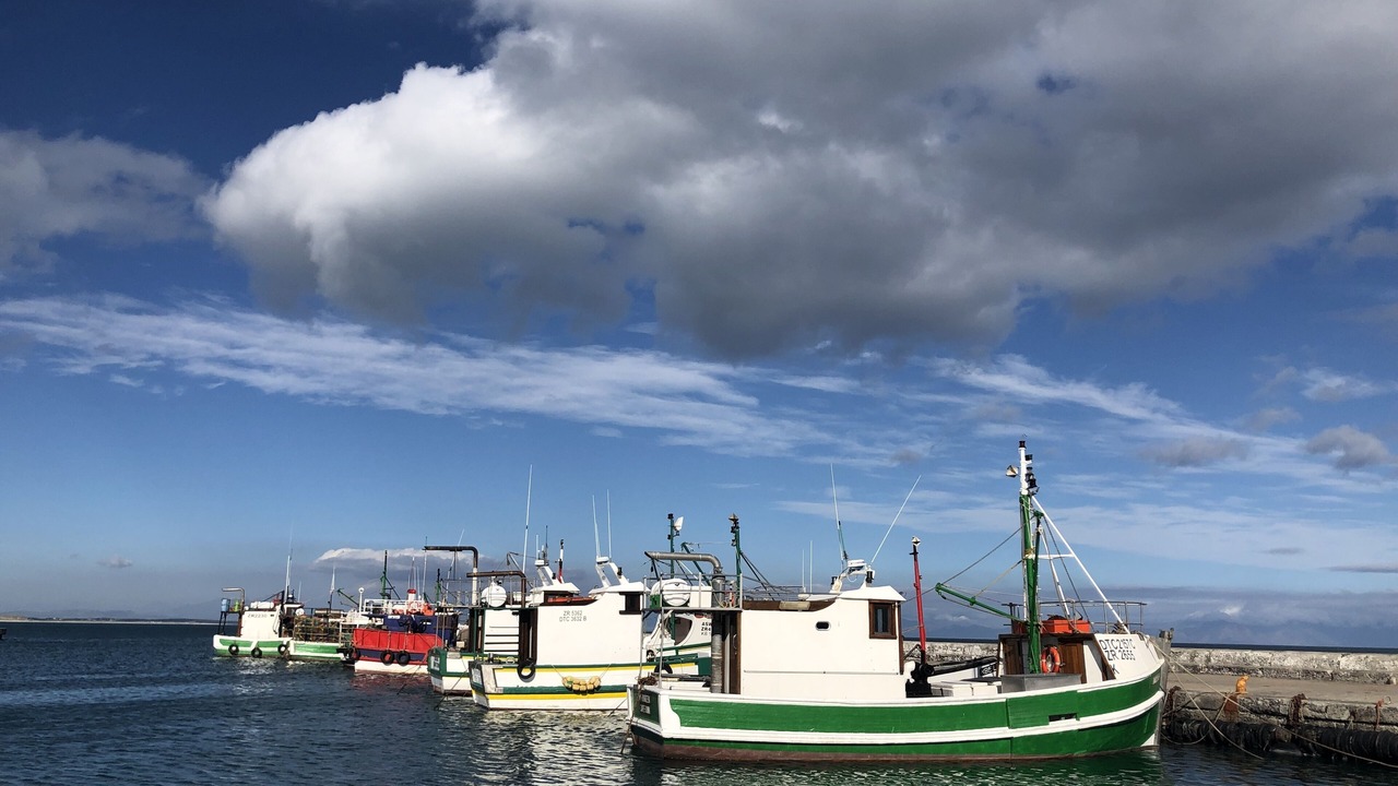 Photo of Others in Kalk Bay
