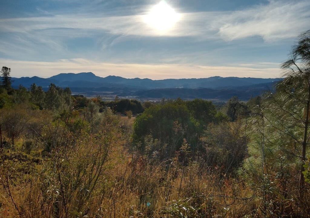 Photo of Outdoor in Lower Lake