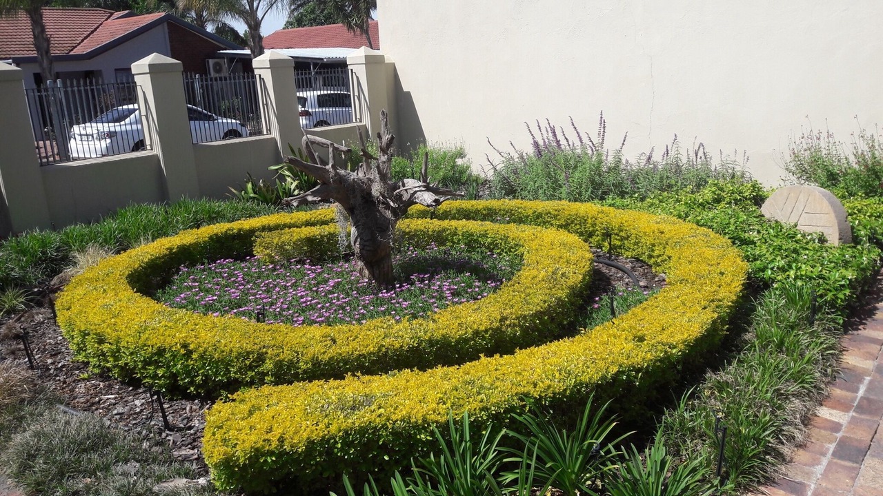 Photo of Outdoor in Paarl