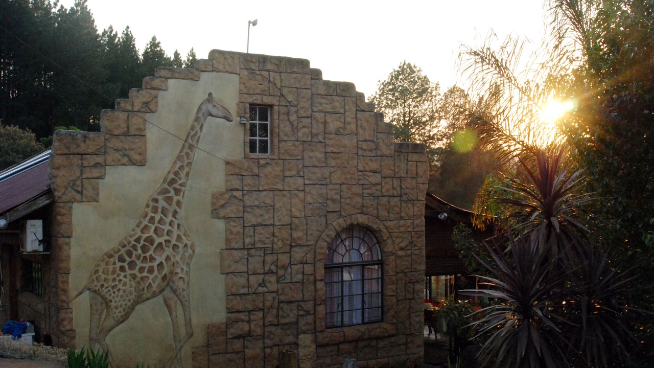 Photo of Outdoor in Howick