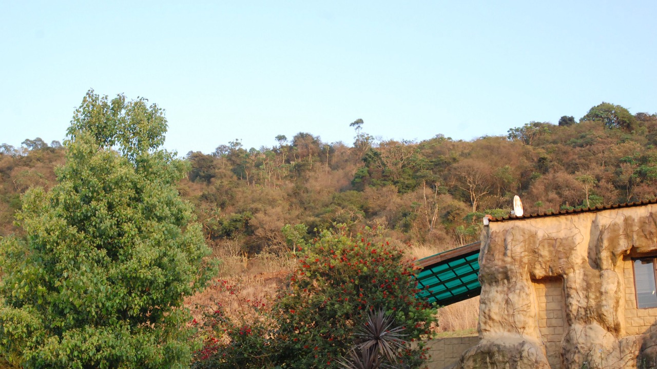 Photo of Others in Howick