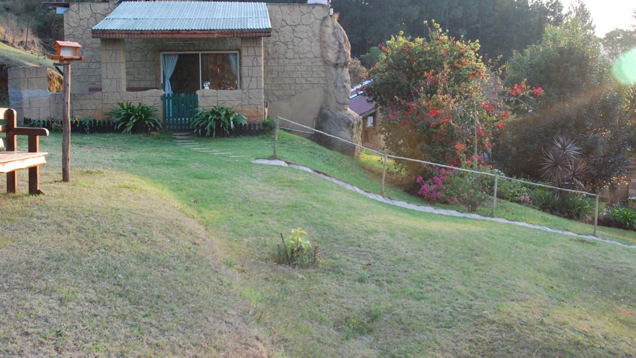 Photo of Outdoor in Howick