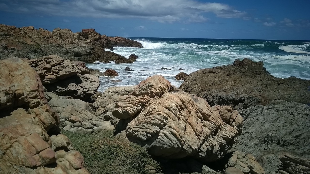 Photo of Others in Betty's Bay