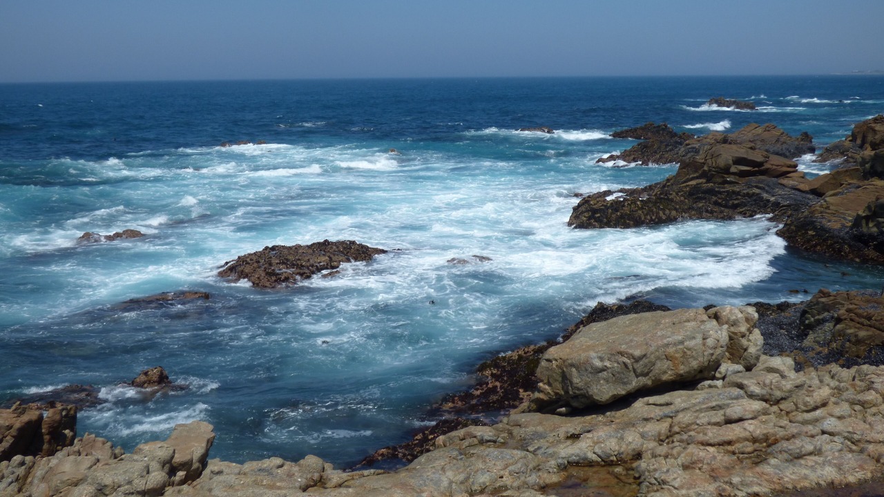 Photo of Others in Betty's Bay