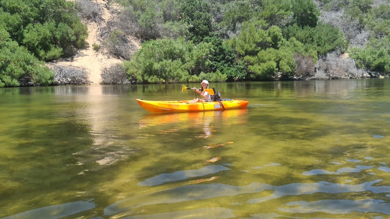 Photo of Others in Great Brak River