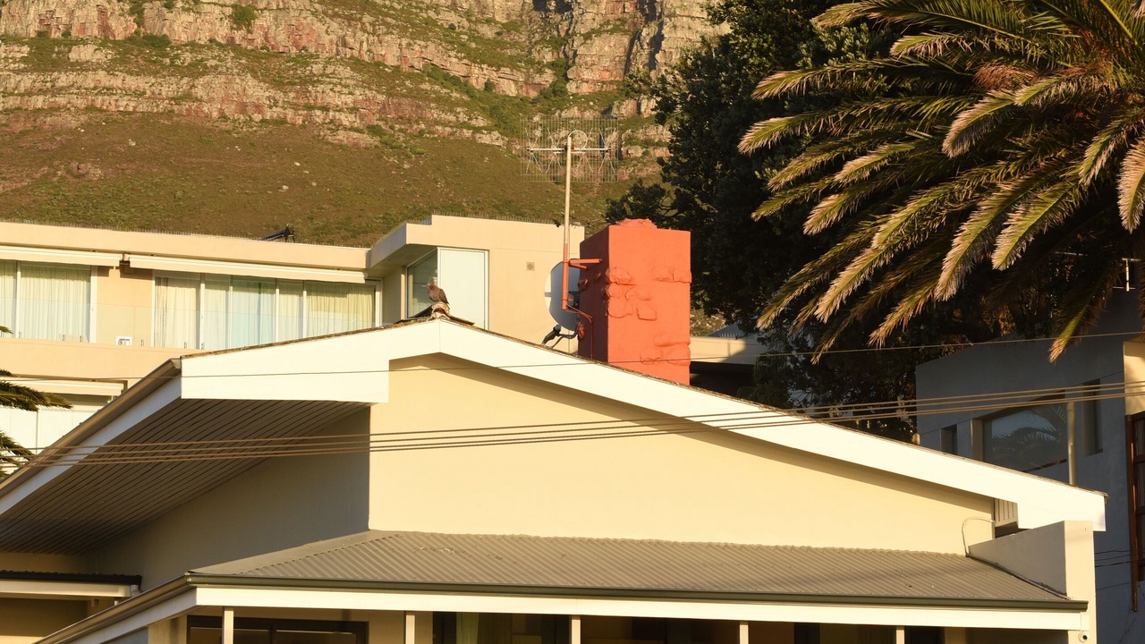 Photo of Outdoor in Camps Bay