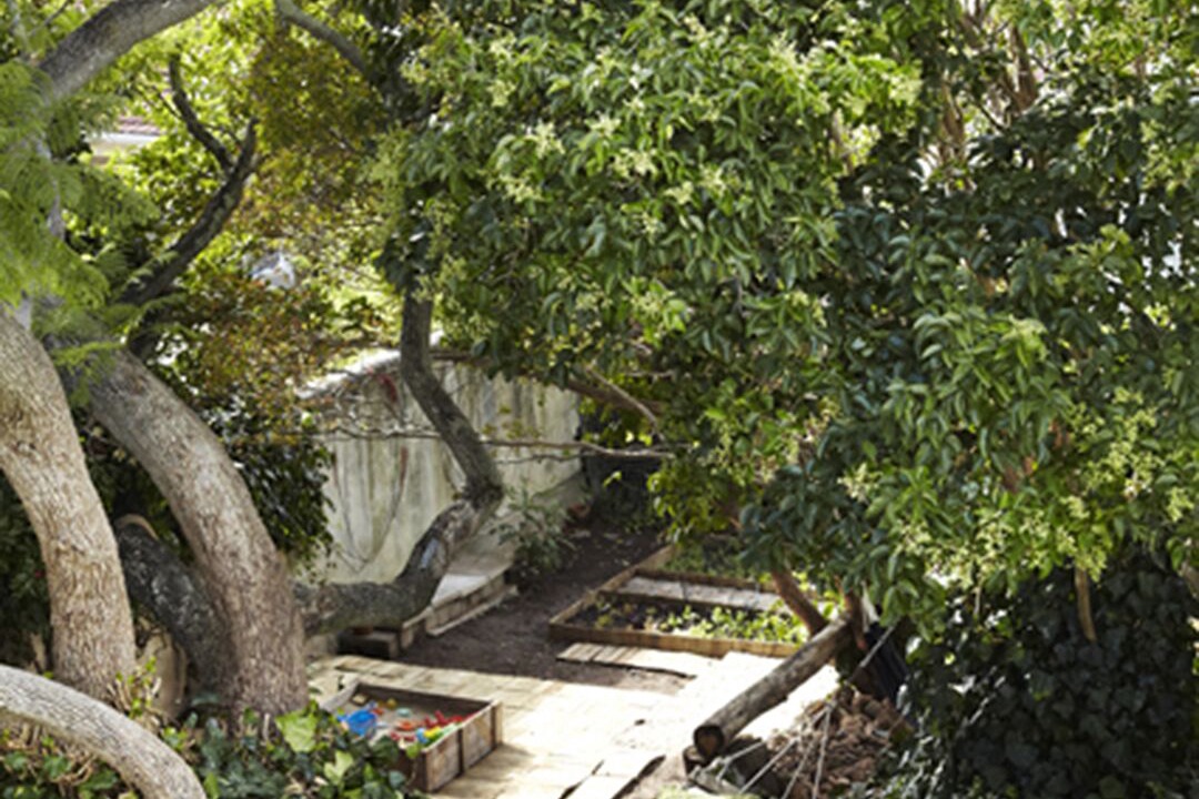 Photo of Outdoor in Cape Town City Centre
