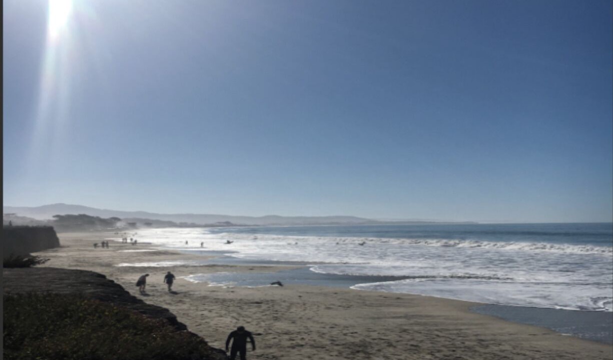 Photo of Others in Half Moon Bay