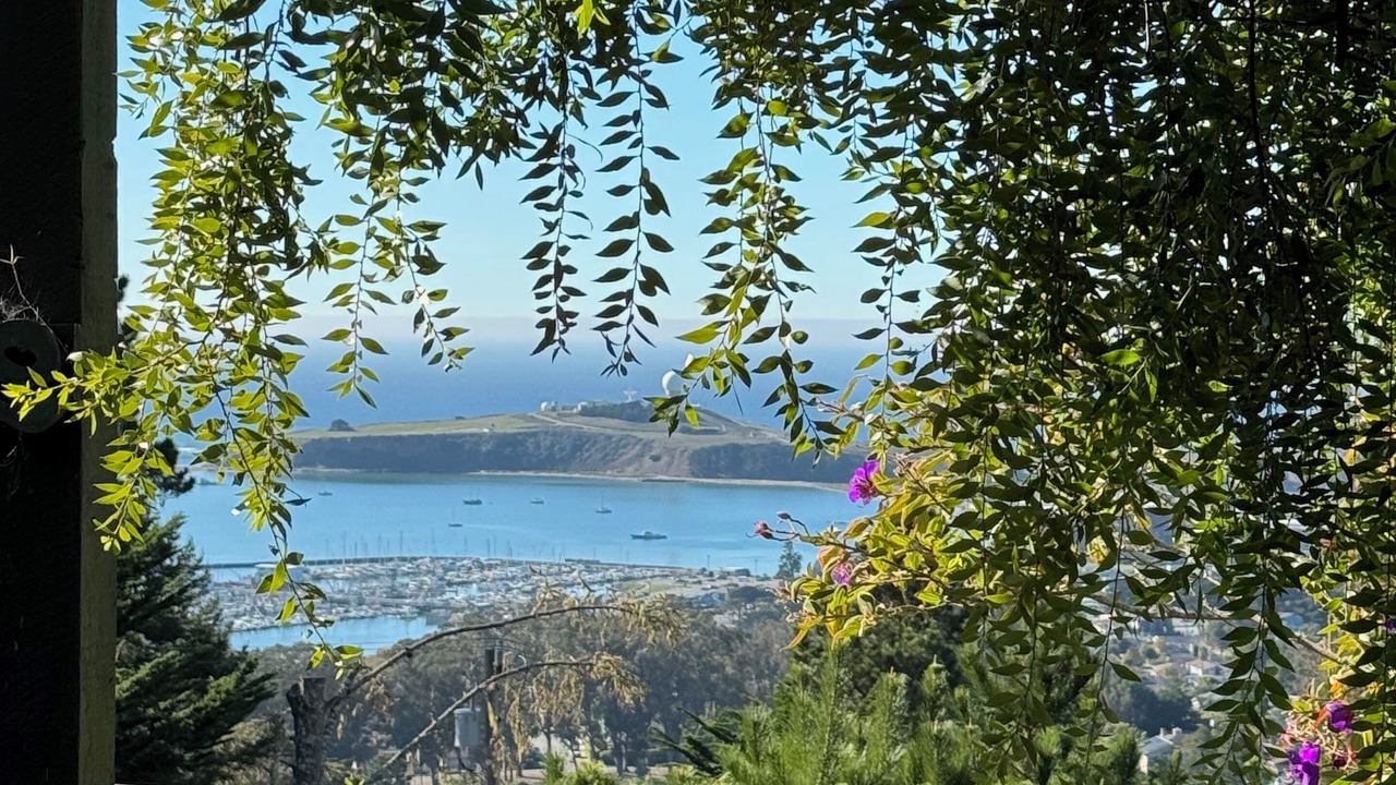 Photo of Outdoor in Half Moon Bay