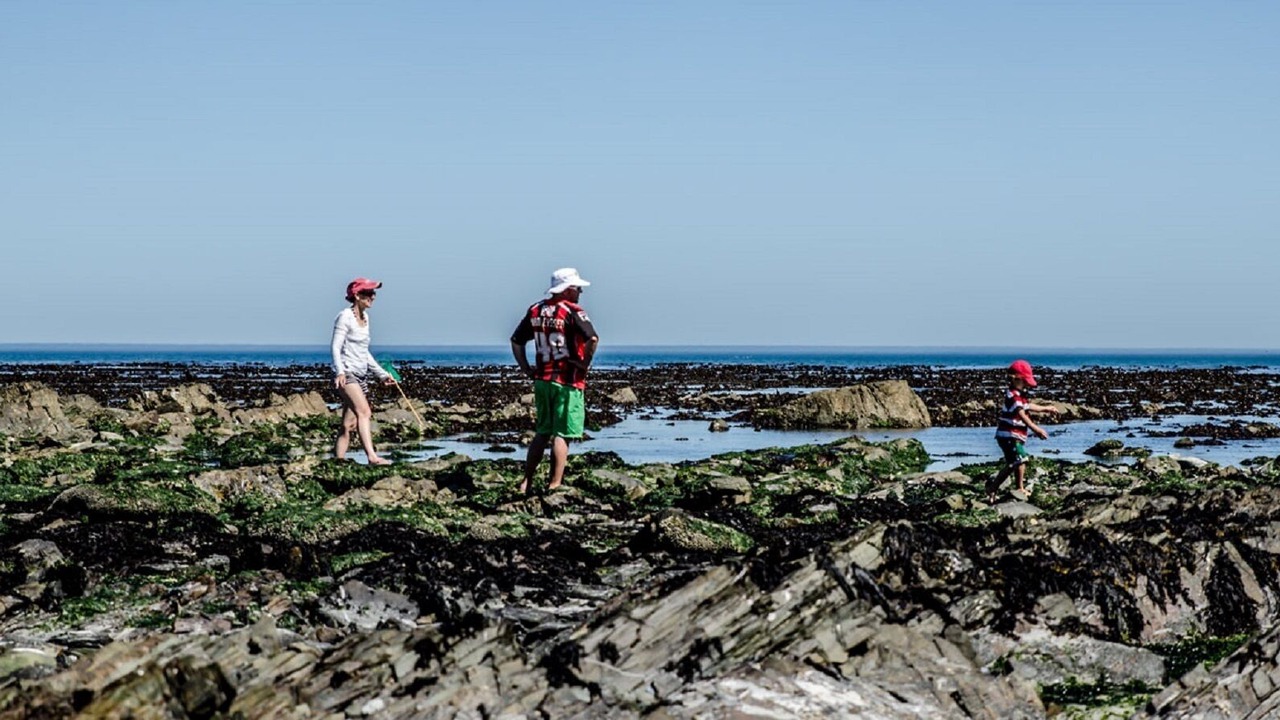 Photo of Others in Melkbosstrand