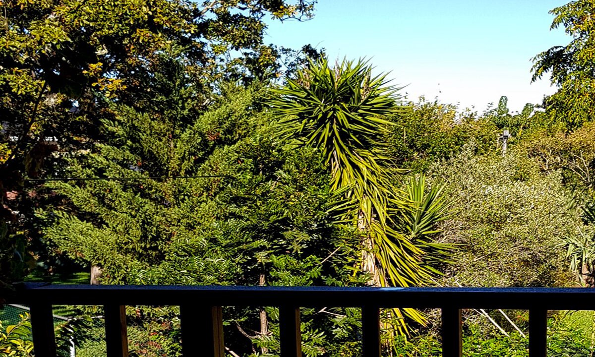 Photo of Patio Balcony in Somerset West