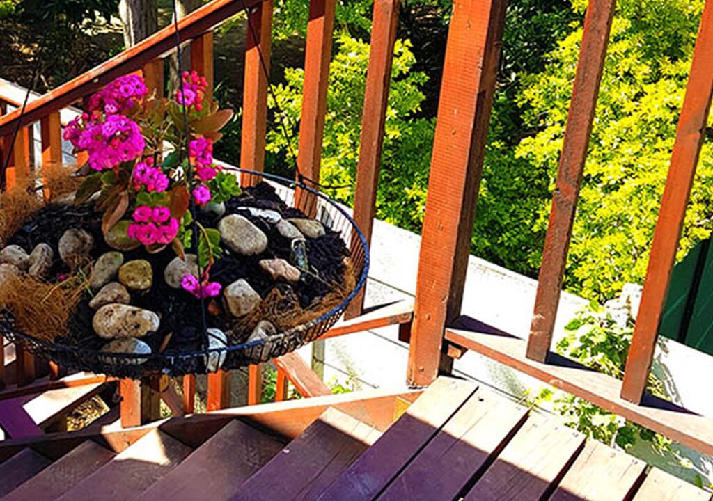 Photo of Patio Balcony in Somerset West