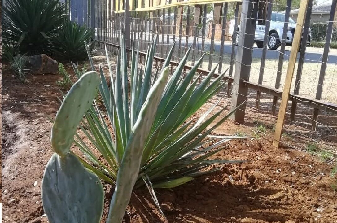 Photo of Outdoor in Potchefstroom
