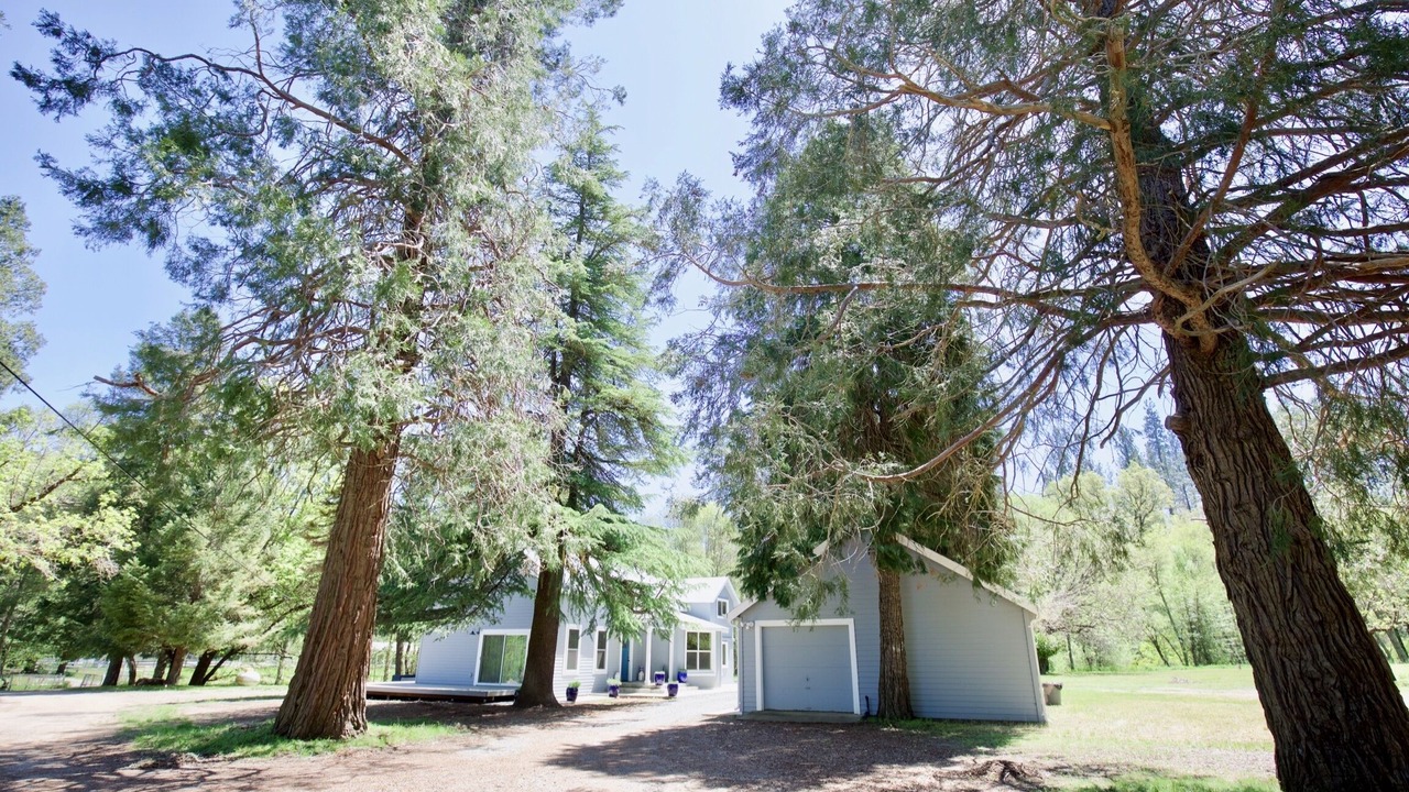Photo of Outdoor in Kelseyville