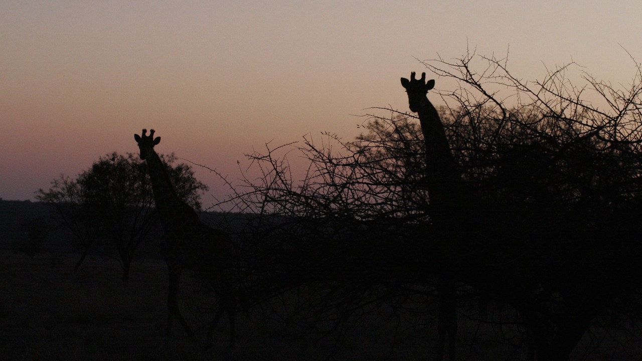 Photo of Others in Waterberg