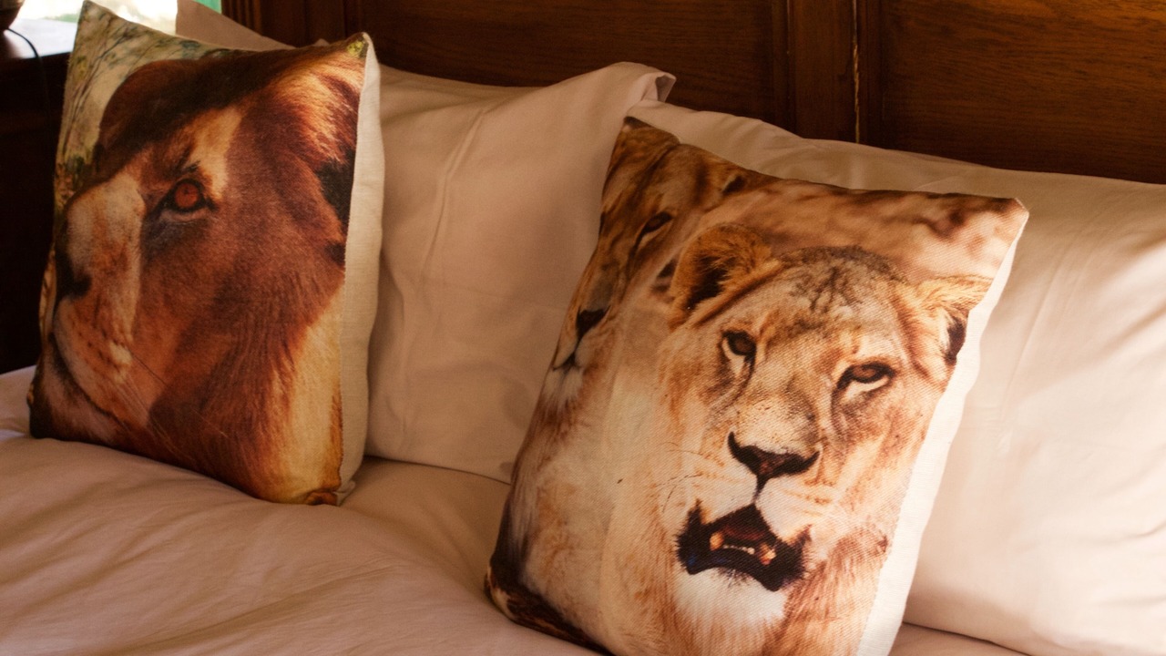 Photo of Bedroom in Waterberg