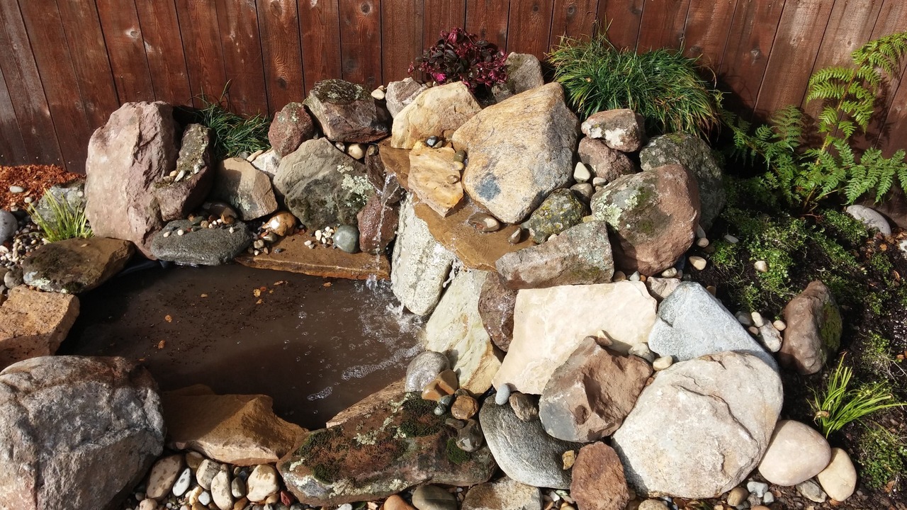 Photo of Outdoor in Windsor