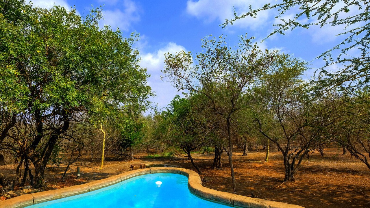 Photo of Outdoor in Marloth Park