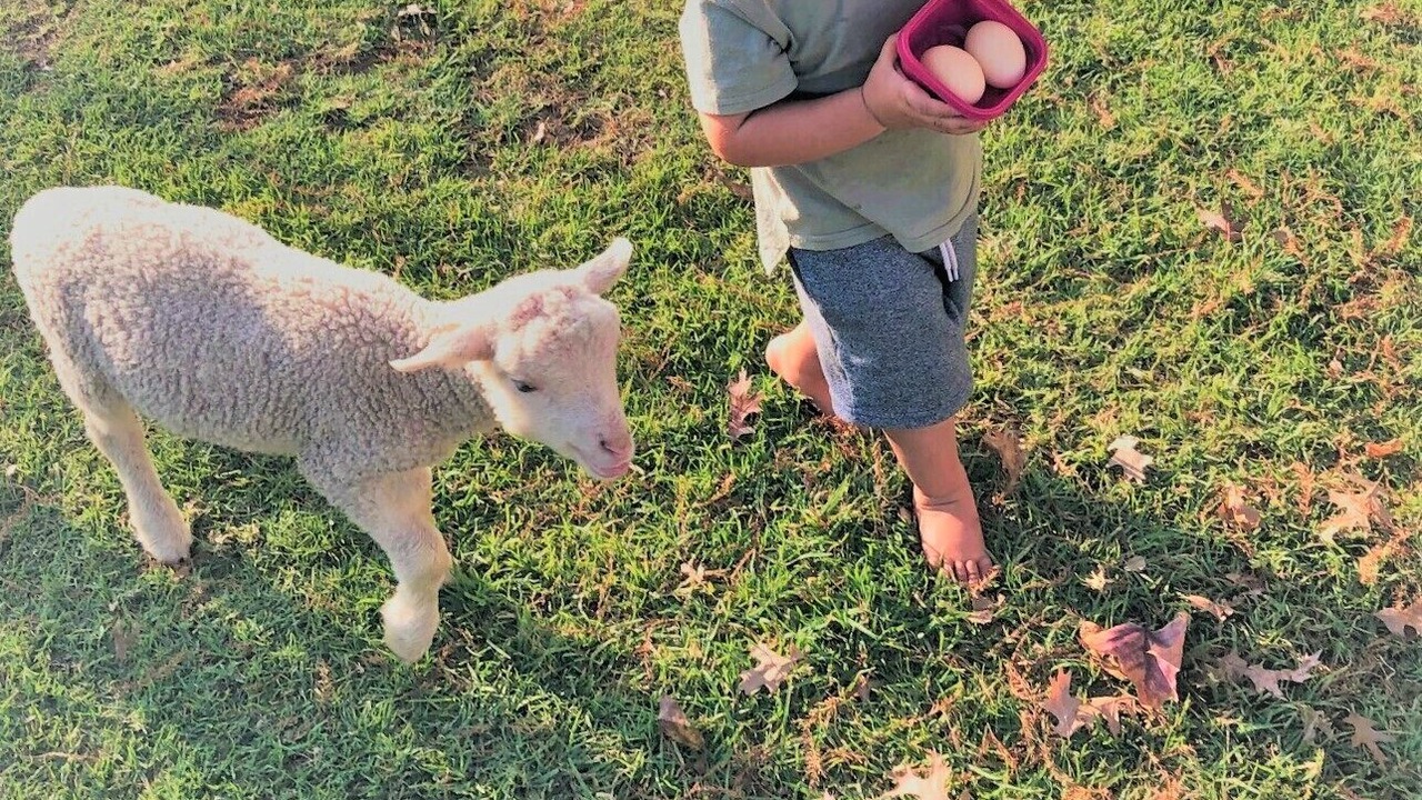 Photo of Outdoor in Curry's Post