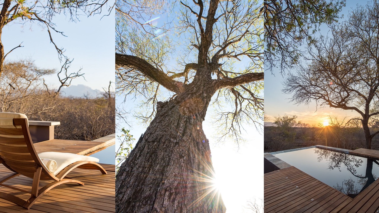 Photo of Others in Hoedspruit