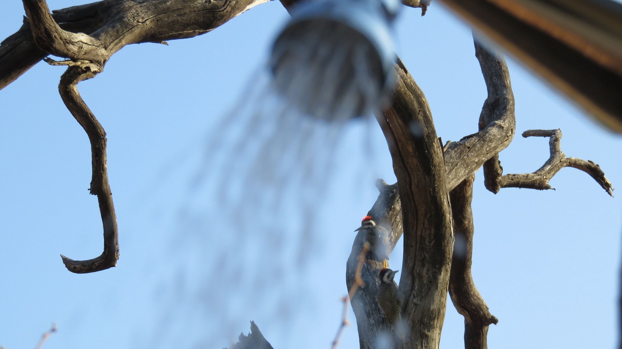 Photo of Outdoor in Hoedspruit