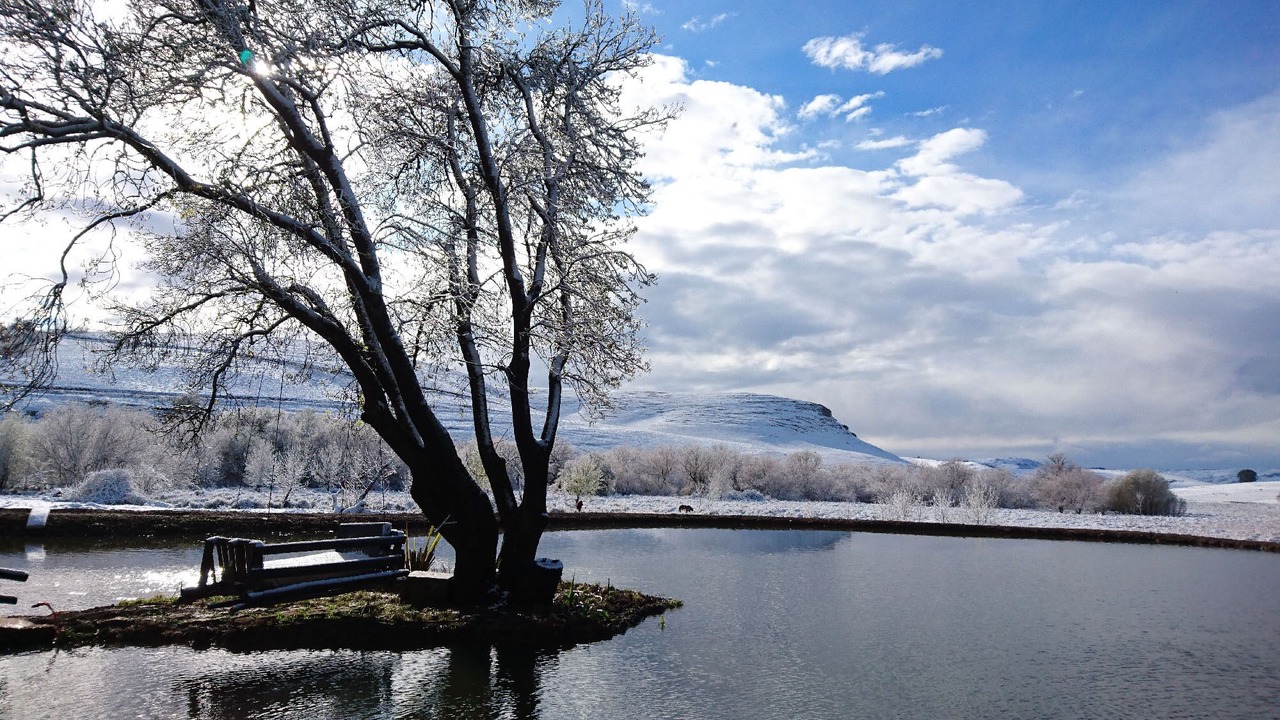 Photo of Outdoor in Greater Kokstad