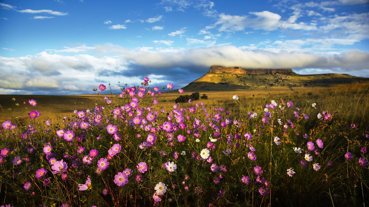 Photo of Others in Maluti a Phofung