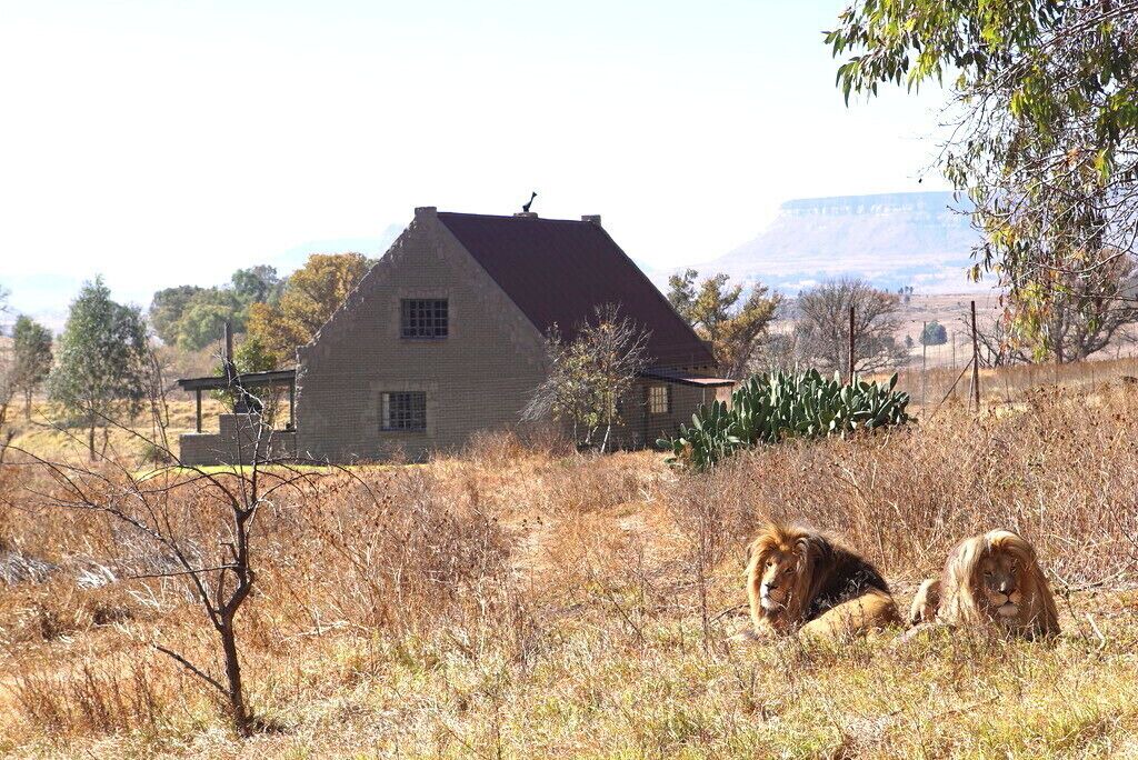 Photo of Others in Maluti a Phofung