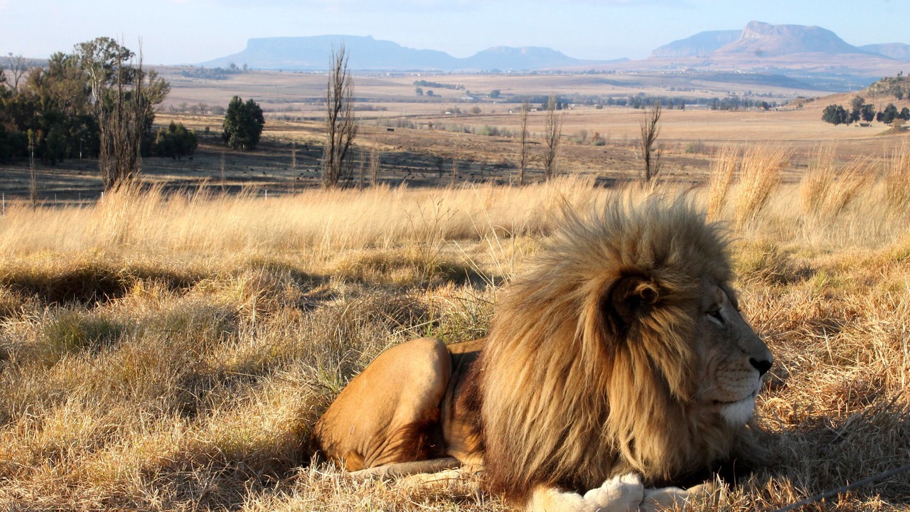 Photo of Others in Maluti a Phofung
