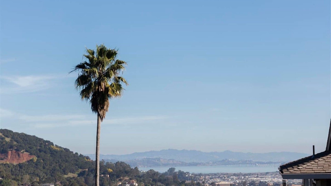 Photo of Others in San Rafael
