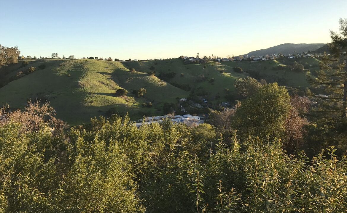 Photo of Others in San Rafael