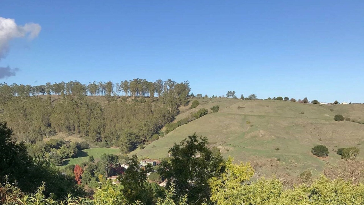 Photo of Others in San Rafael