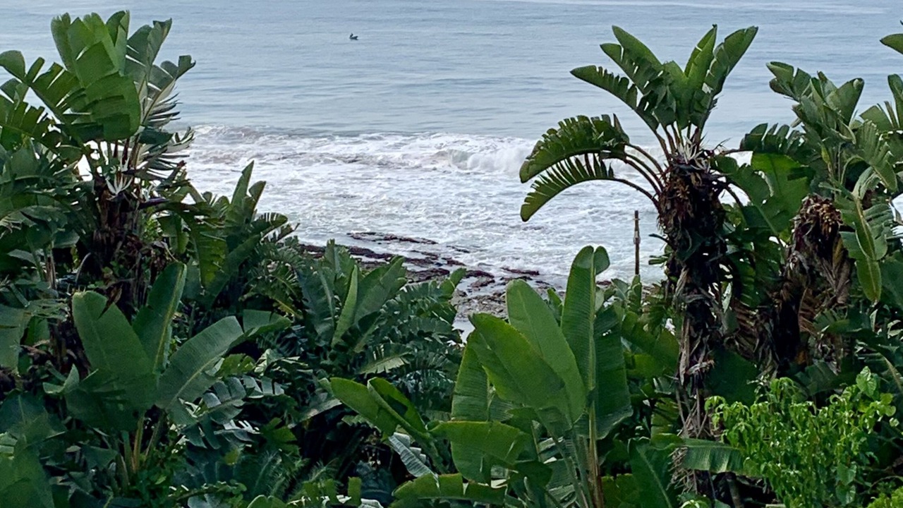 Photo of Outdoor in Selection Beach