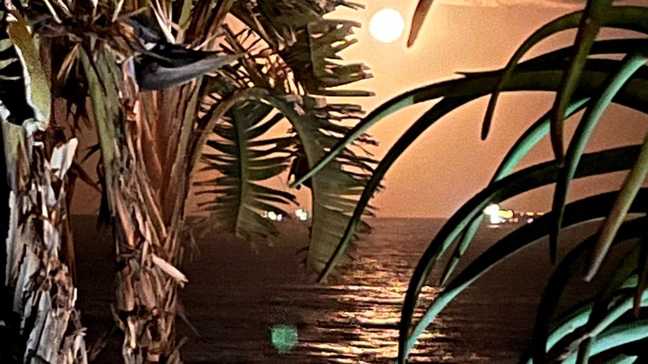 Photo of Others in Selection Beach