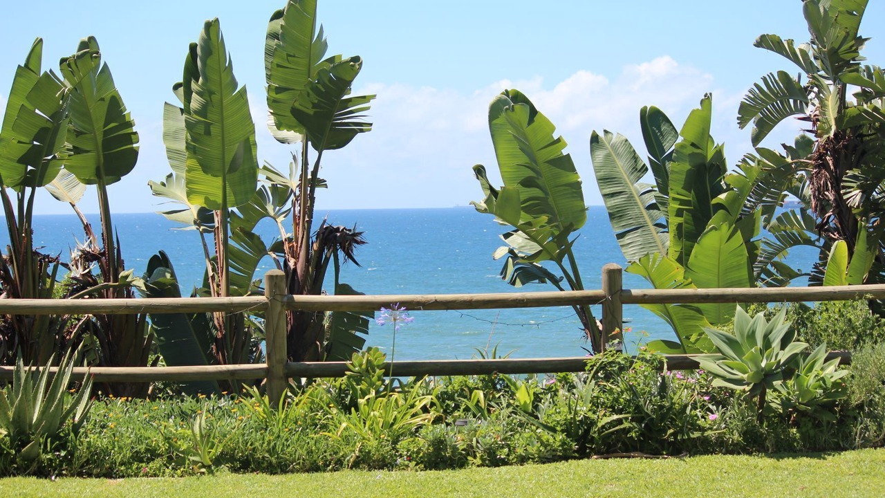 Photo of Outdoor in Selection Beach
