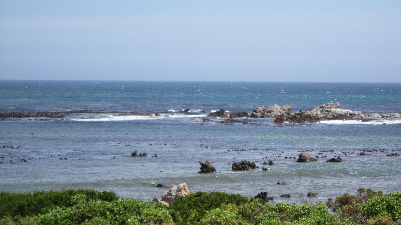 Photo of Others in Betty's Bay