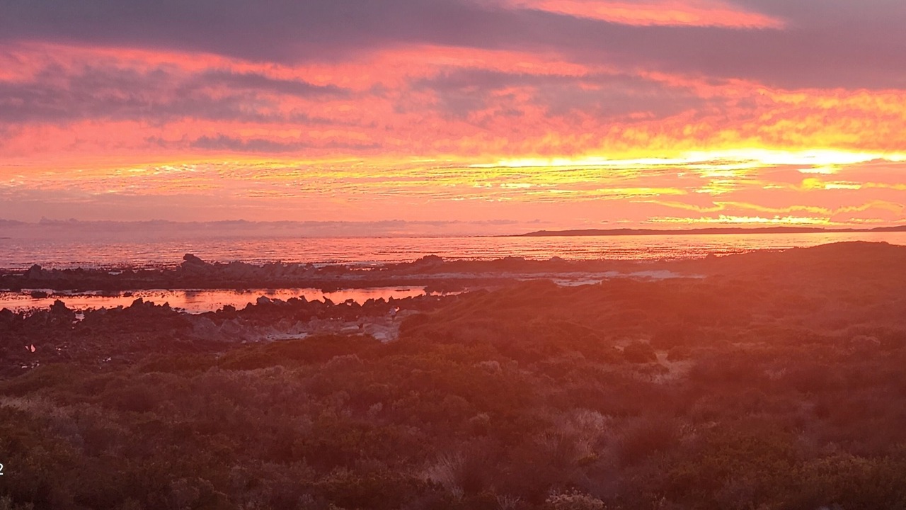 Photo of Others in Betty's Bay