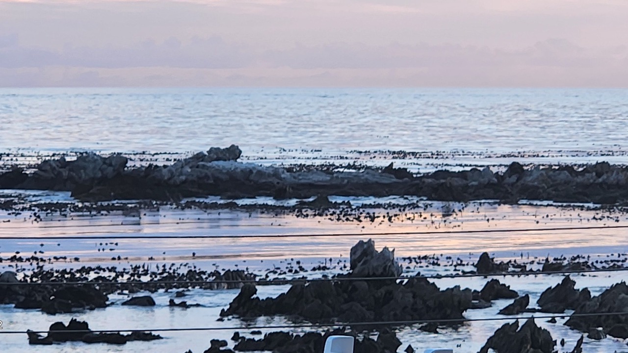 Photo of Others in Betty's Bay