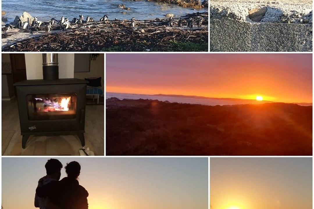 Photo of Others in Betty's Bay