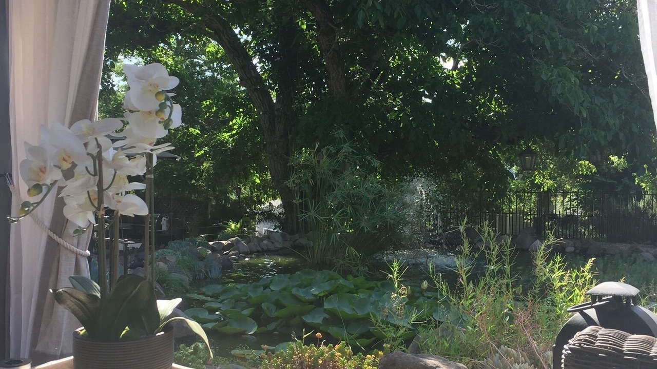 Photo of Outdoor in Petaluma
