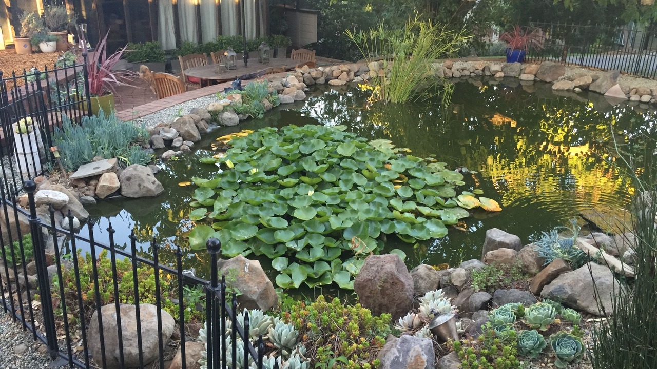 Photo of Outdoor in Petaluma