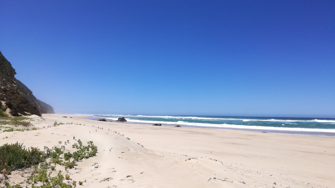 Photo of Others in Sedgefield