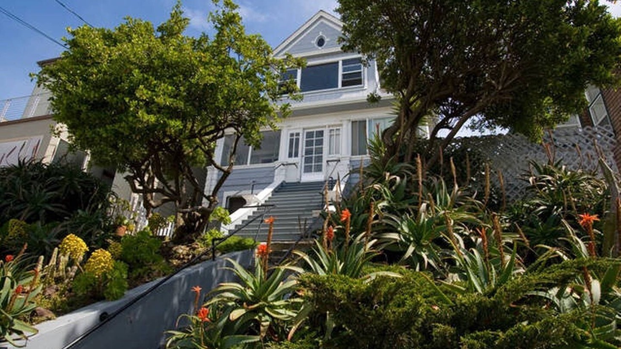 Photo of Outdoor in Outer Sunset