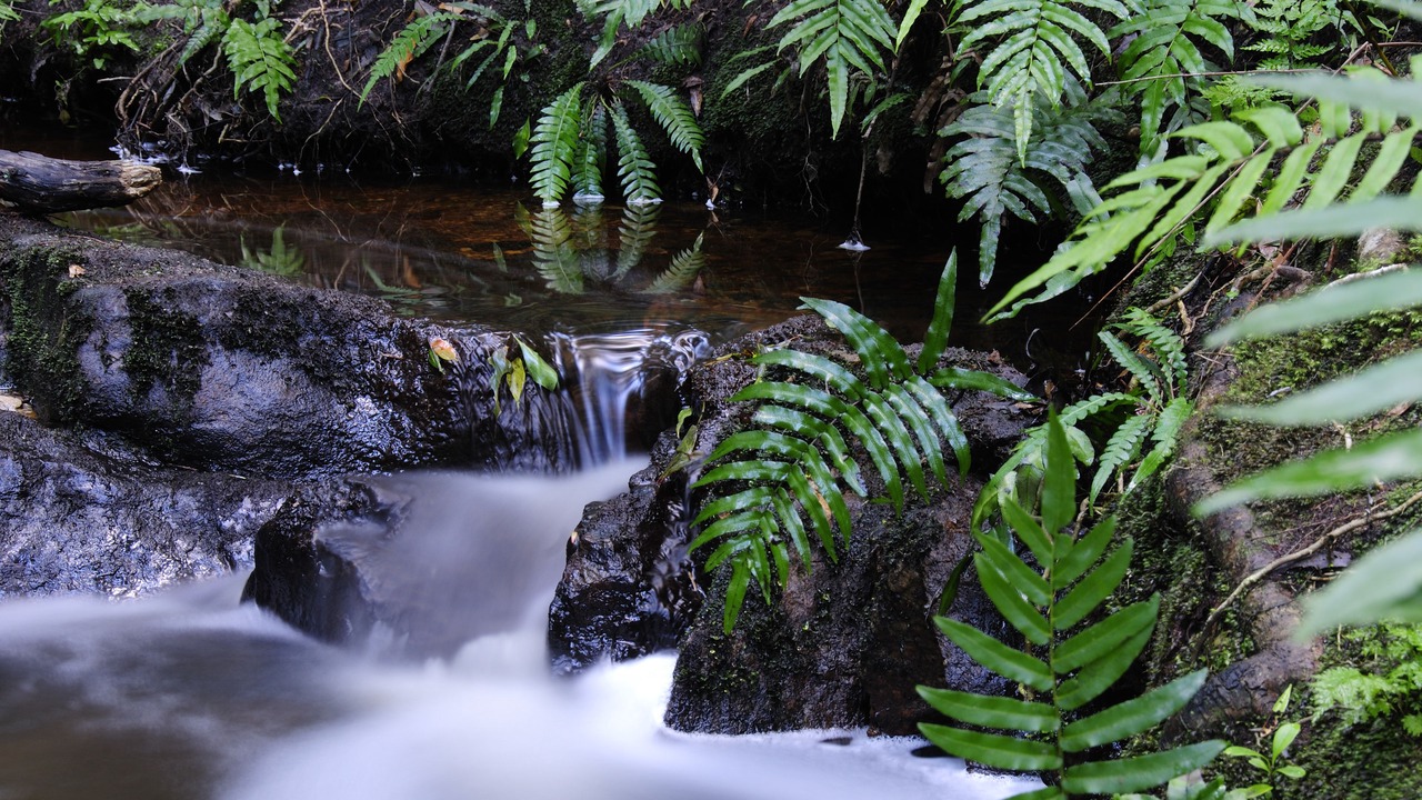 Photo of Outdoor in Knysna