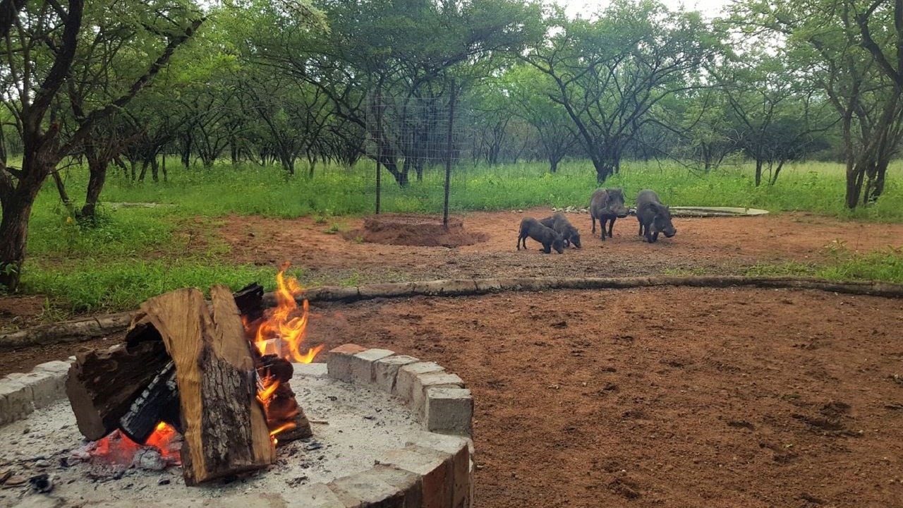 Photo of Outdoor in Marloth Park