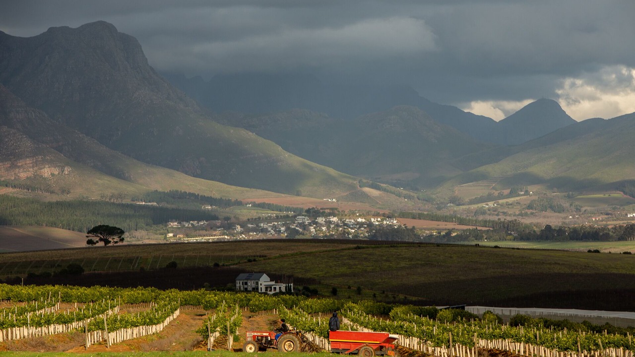 Photo of Outdoor in Stellenbosch