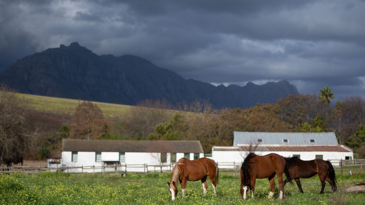 Photo of Outdoor in Stellenbosch